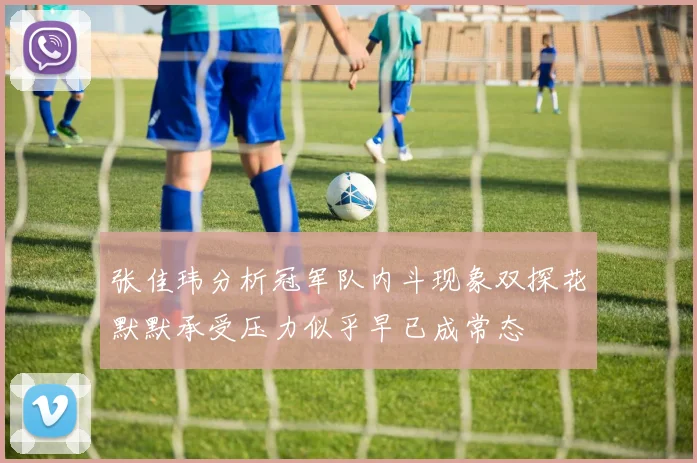 张佳玮分析冠军队内斗现象双探花默默承受压力似乎早已成常态